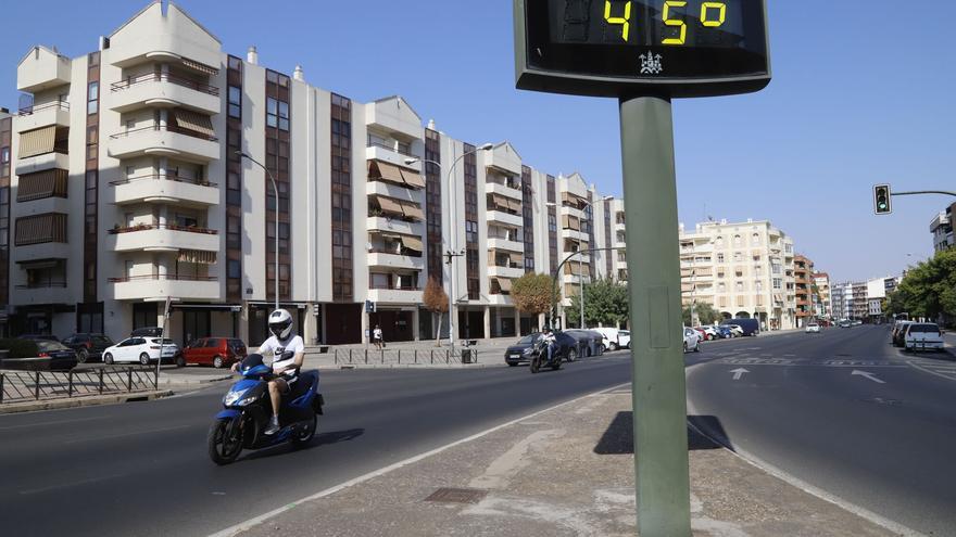 Un encuentro científico en la UCO analizará cómo mitigar los efectos de las altas temperaturas en ecosistemas y agricultura