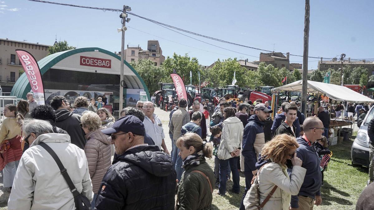 El Camp del Serra és un dels punts neuràlgics del certamen