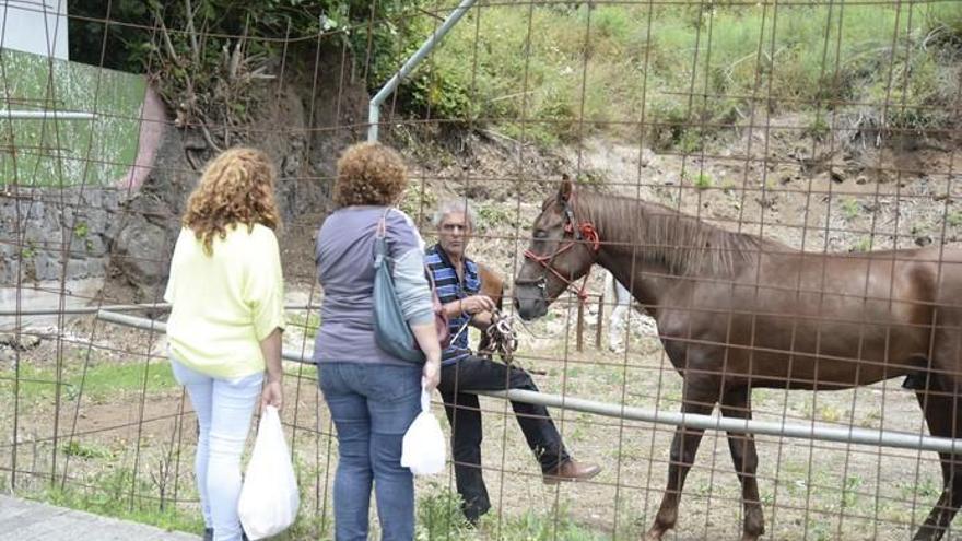 Fiesta de San Vicente Ferrer en Valleseco 2017