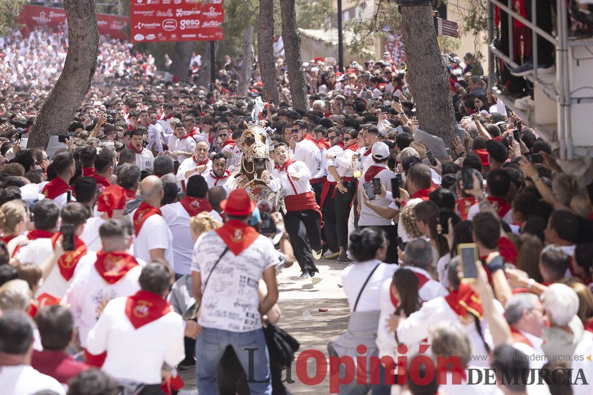 Así se ha vivido la carrera de Los Caballos del Vino en Caravaca