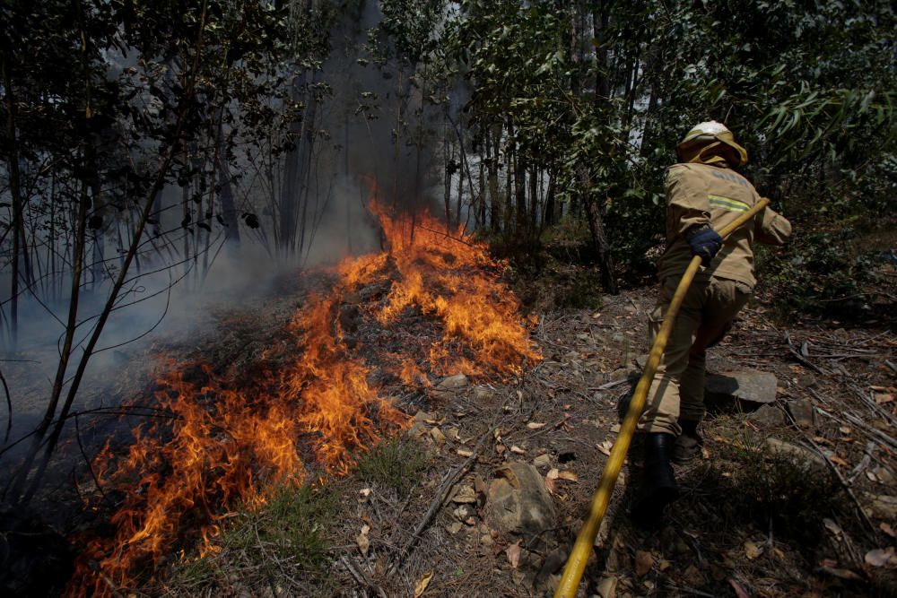 Incendio de grandes dimensiones en el centro de Portugal.