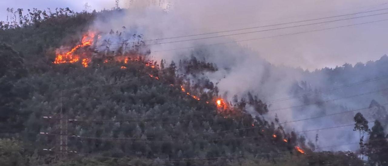 El incendio en la ladera del Monte Areo que cae hacia la parroquia gijonesa de Serín, ayer.
