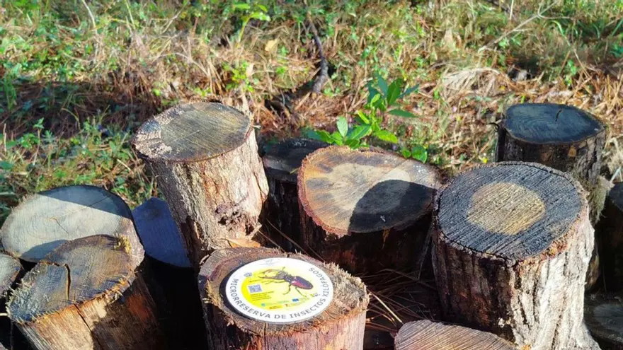 Pirámides de madera, reserva de ‘vacalouras’