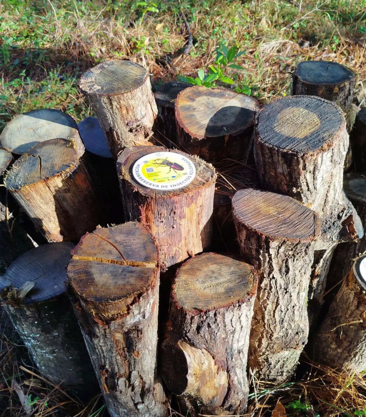Pirámides de madera, reserva de ‘vacalouras’