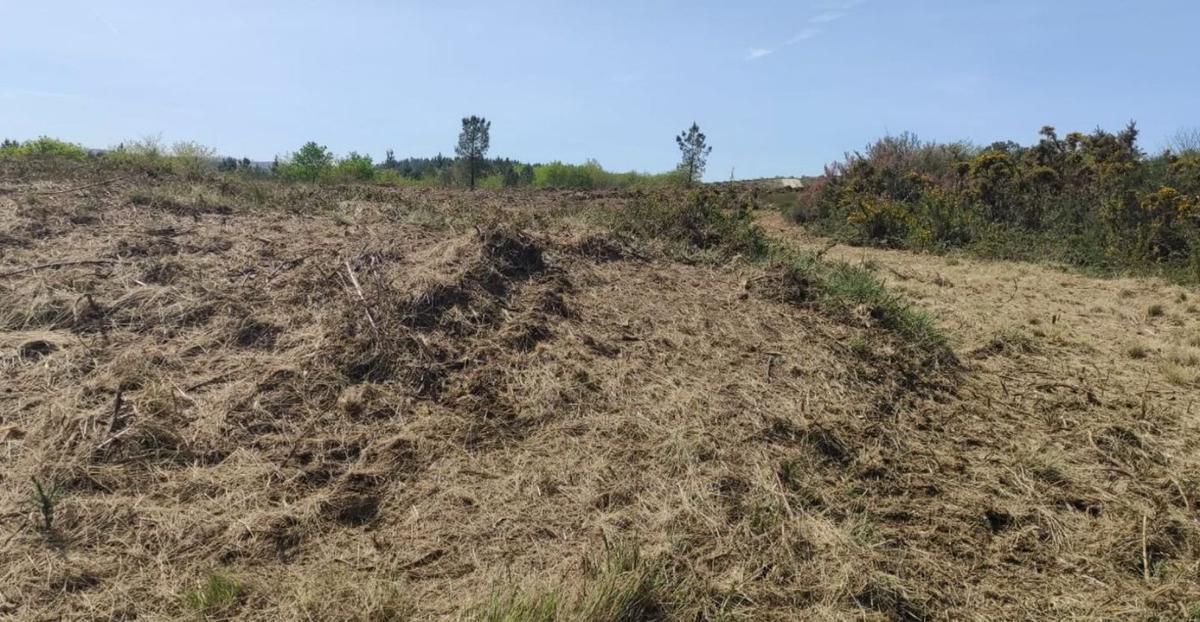 Pegadas do paso de maquinaria pesada sobre o túmulo.