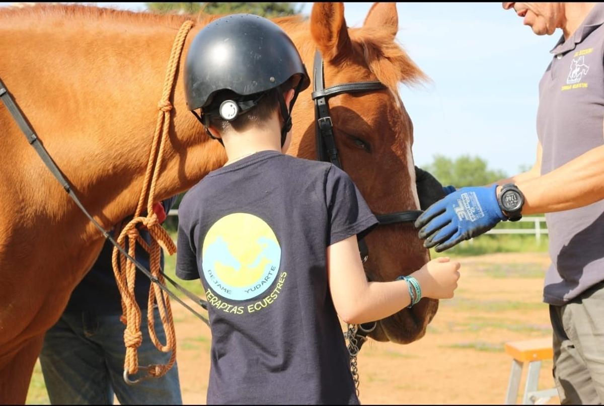 Un niño junto a un caballo en una sesión de equinoterapia.
