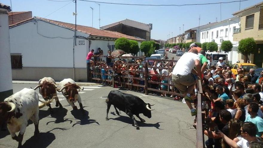 El ayuntamiento licita la organización de los actos taurinos de San Buenaventura