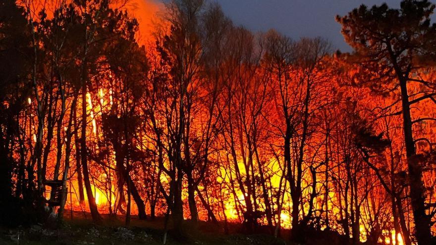 Un bosque en llamas  durante el incendio que asoló el Occidente hace un año.