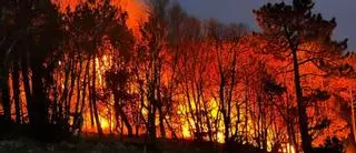 Lecciones aprendidas en el gran incendio del Occidente: lo que quedó tras el mayor desastre forestal de Asturias