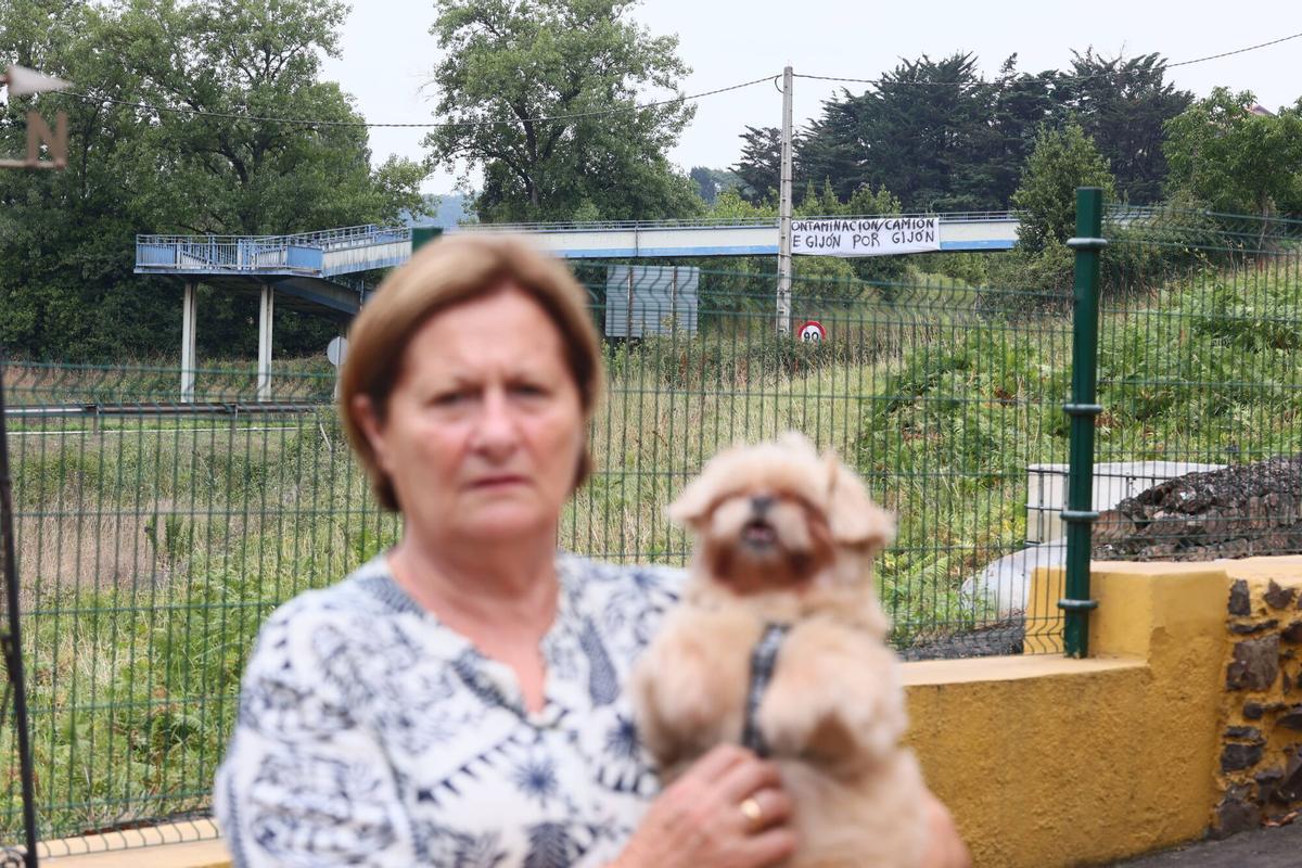Los residentes de la zona lamentan los excesos de "contaminación y ruido"