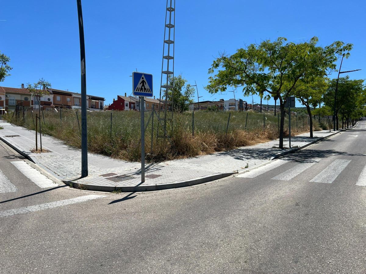 Uno de los solares de la zona del oeste 1 en Lucena a los que el Ayuntamiento insta a su limpieza y desbroce.