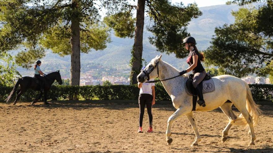 Reabren las cuadras y escuelas de equitación de la provincia de Alicante