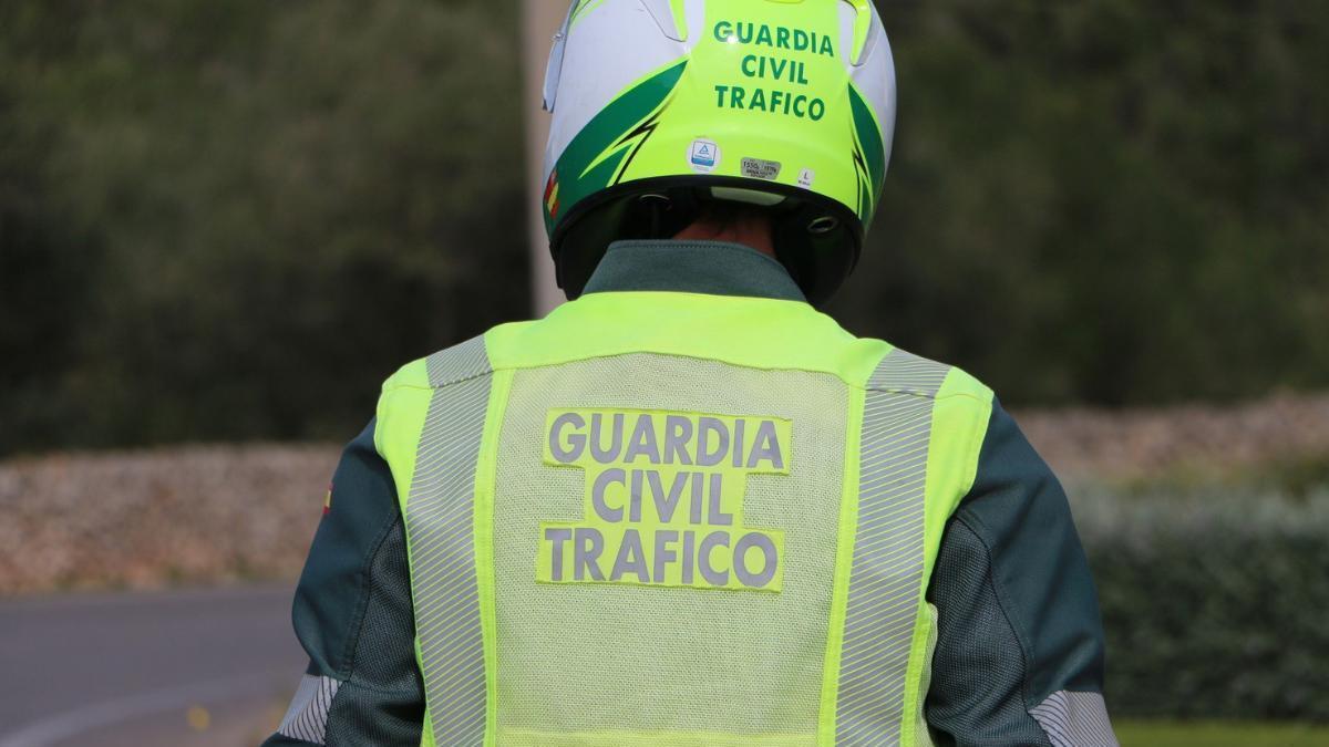 Agente en un control de la Guardia Civil de Tráfico