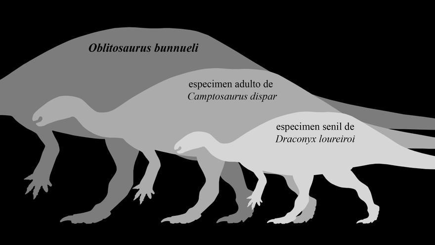 Investigadores de la Fundación Dinópolis descubren el mayor dinosaurio ornitópodo del Jurásico de Europa