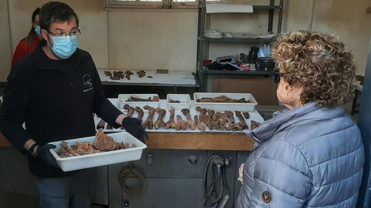 Los trabajos realizados a final del 2023 en el cementerio de Vila-real permitieron localizar en la fosa común restos de 22 personas.