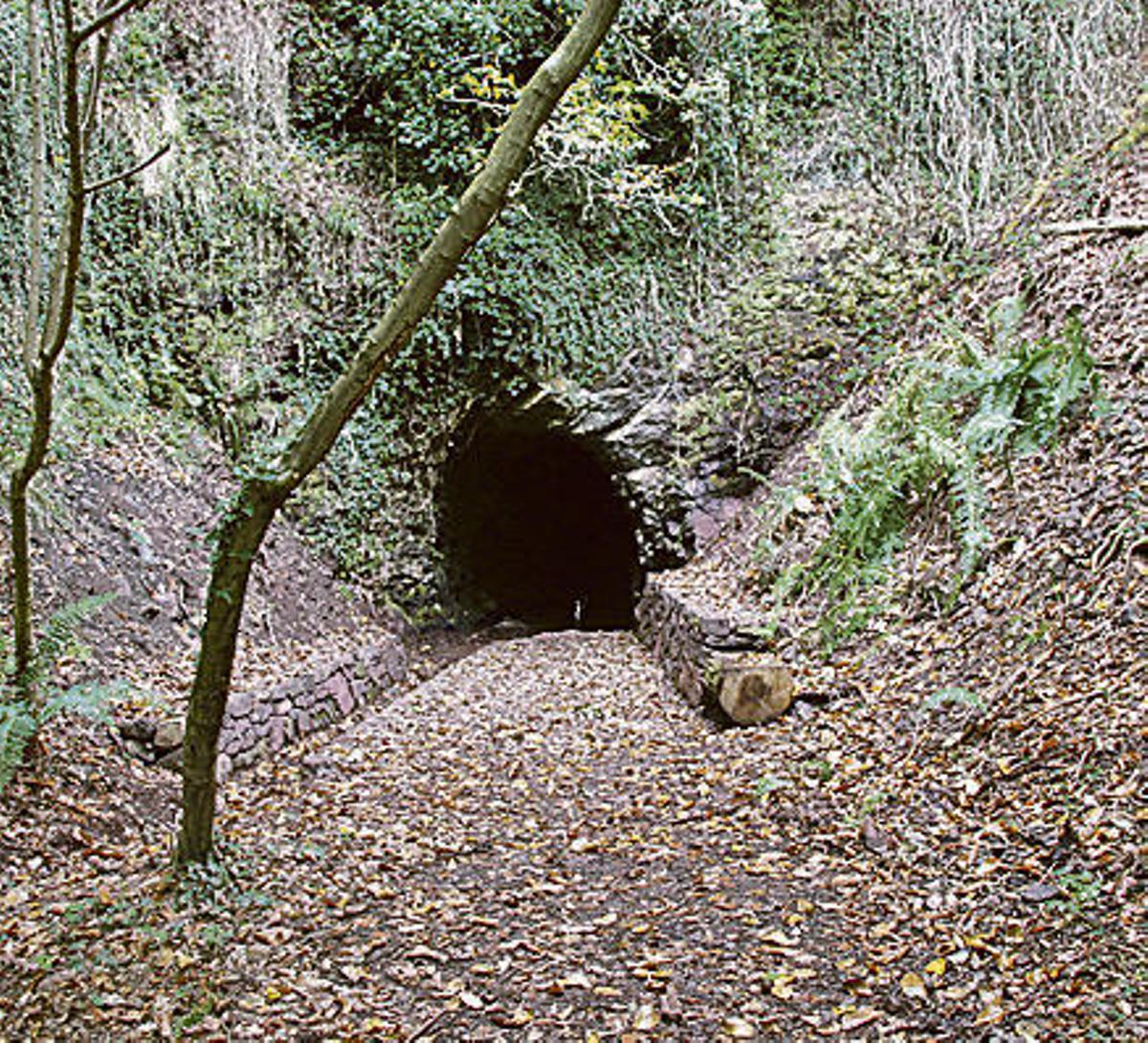 Viaje al origen de los cañones de Trubia