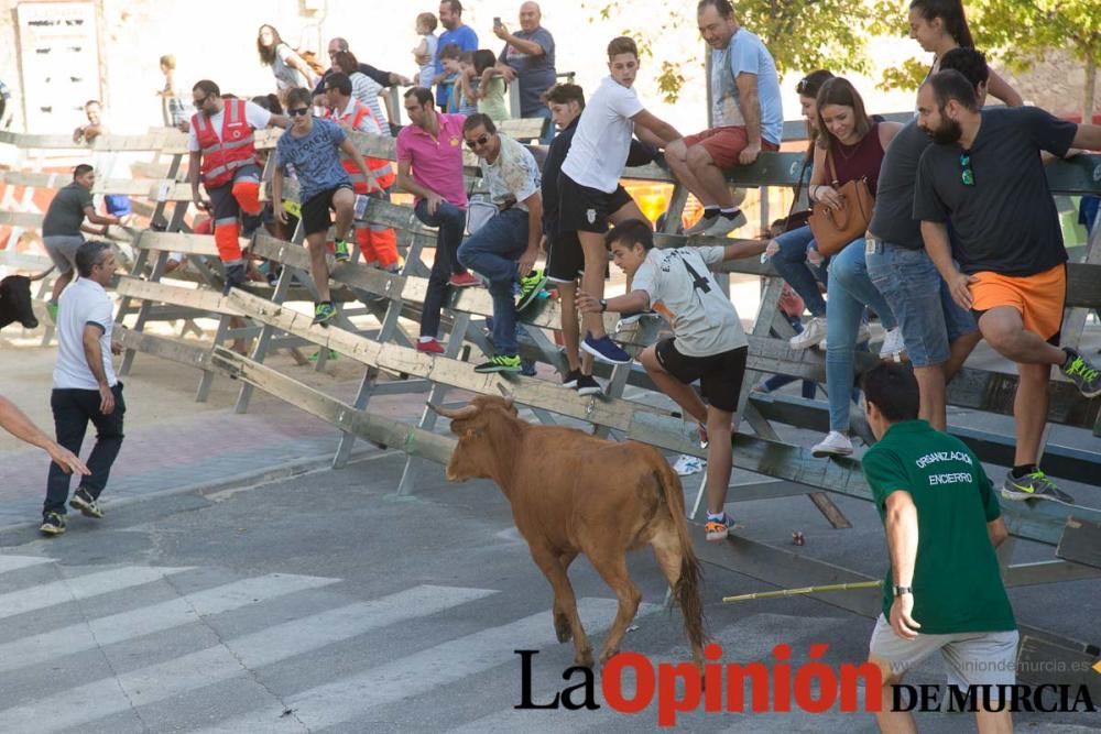 Encierro 'pequeño' en Calasparra