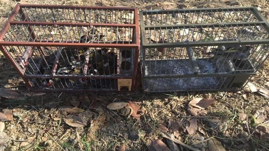 La policía local denuncia a un joven por un presunto delito contra la fauna