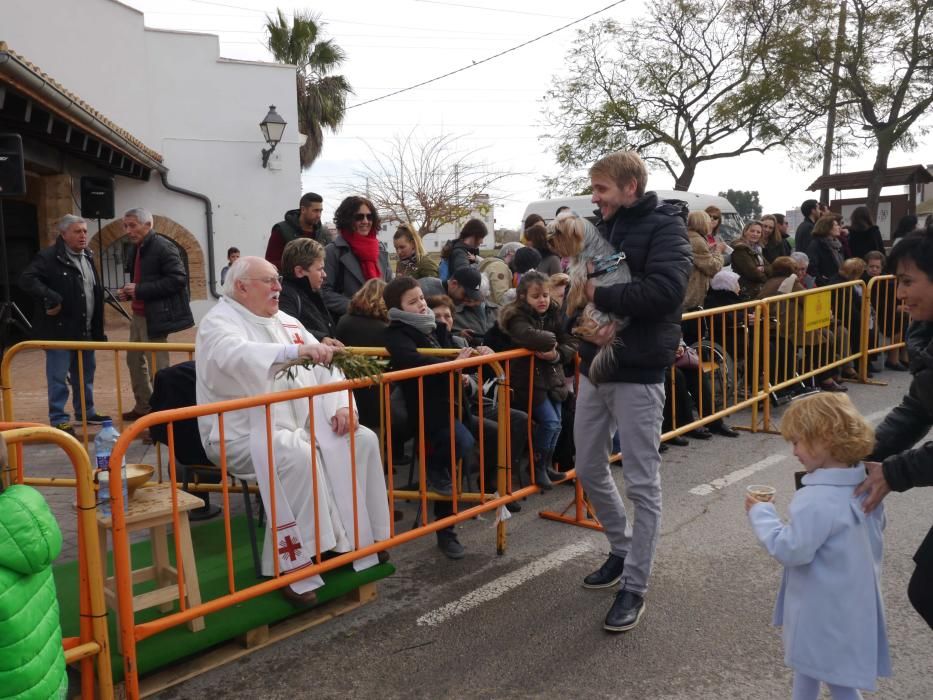 Fiesta de Sant Antoni Abad de Vera