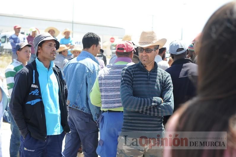 Protesta hortofrutícola en una empresa de El Raal