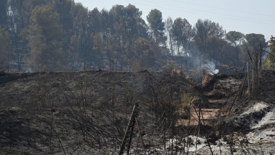 Afectació per l&#039;incendi a la urbanització de les Brucardes