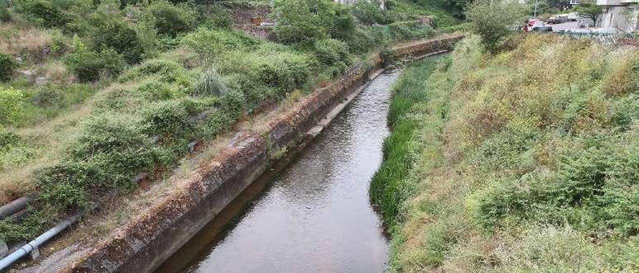 La maleza ocupa una de las márgenes del río Barbaña. // Iñaki Osorio