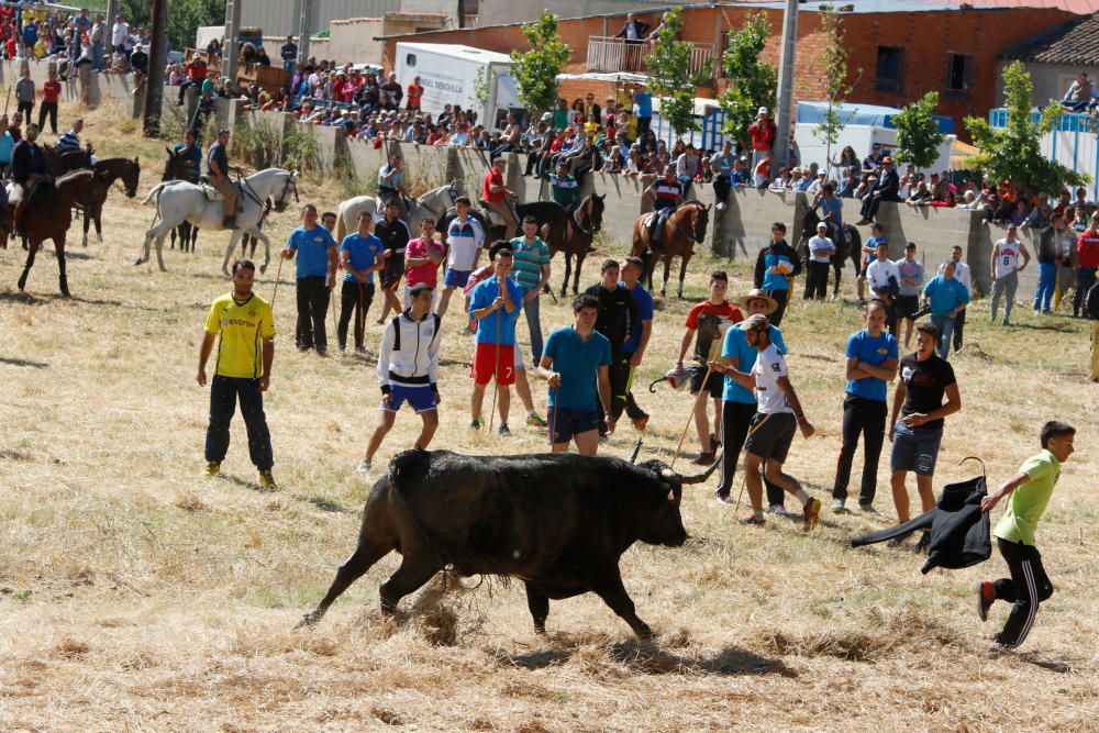 Espantes de Guarrate