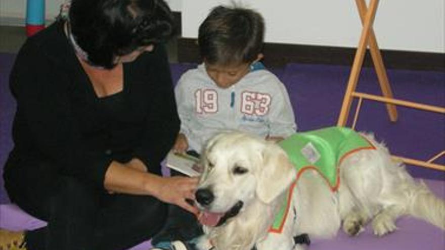 Terapias con perros en el gabinete Paidogossos