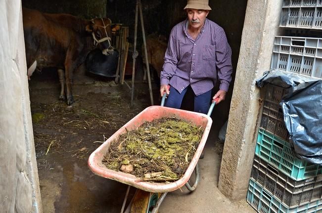 Pepe Guedes, agricultor orgánico