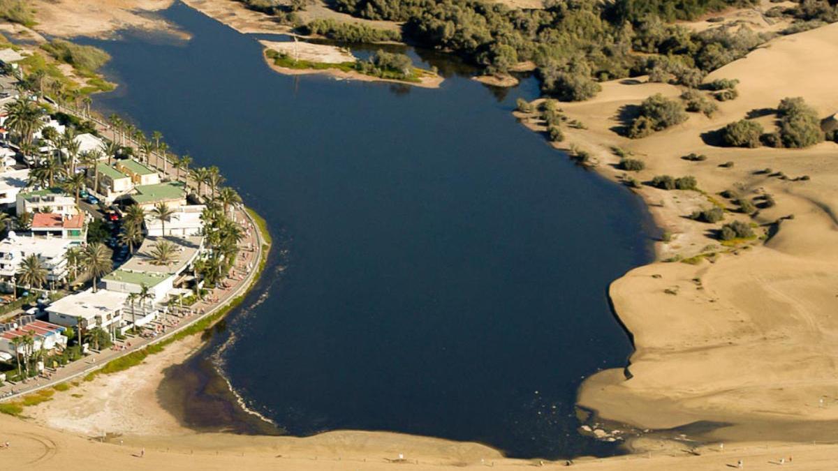 Imagen aérea de la charca de Maspalomas.