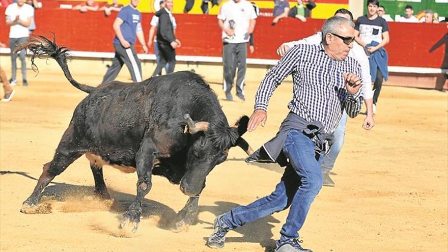 Las ‘Vacas Magdaleneras’ abren el programa taurino