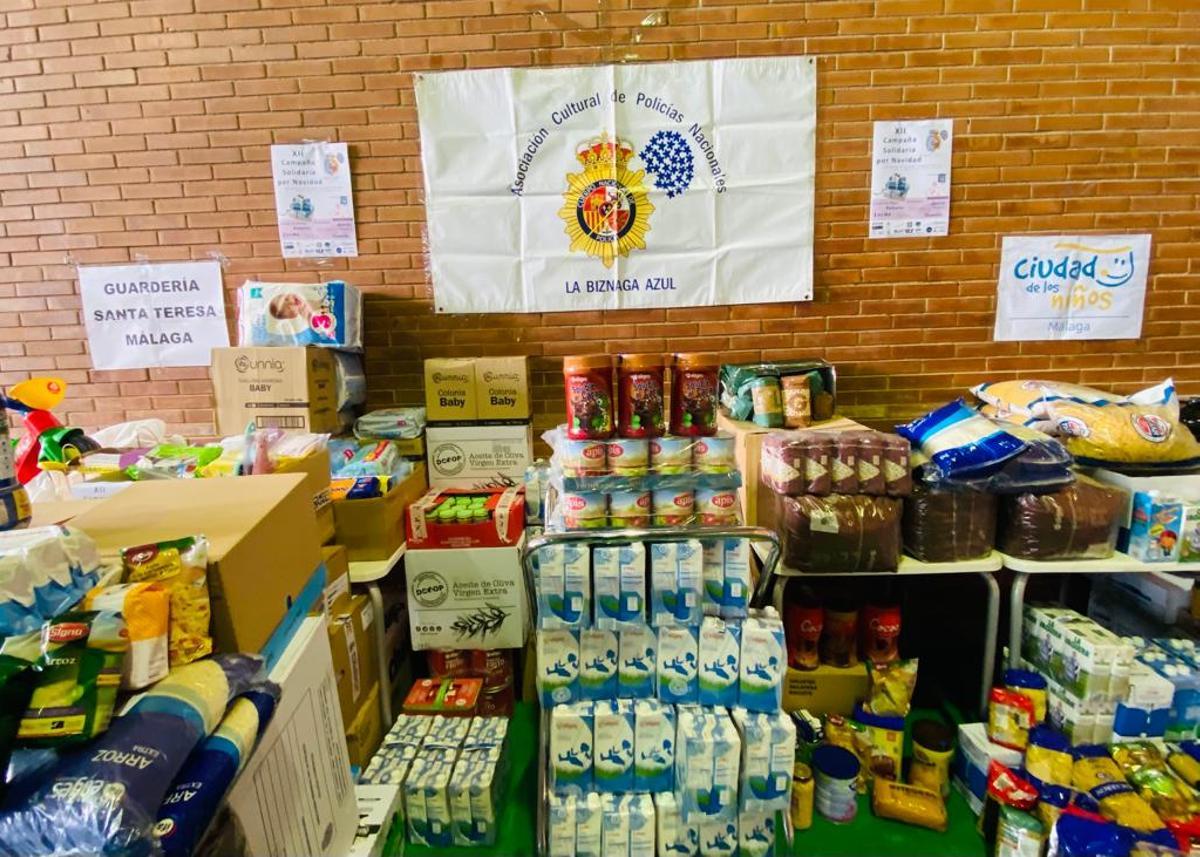 Parte de los alimentos obtenidos en la campaña.