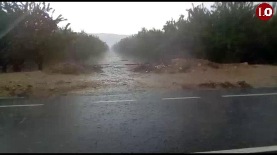 Fuerte lluvia en el Paraje de Casablanca, entre Abarán y Jumilla