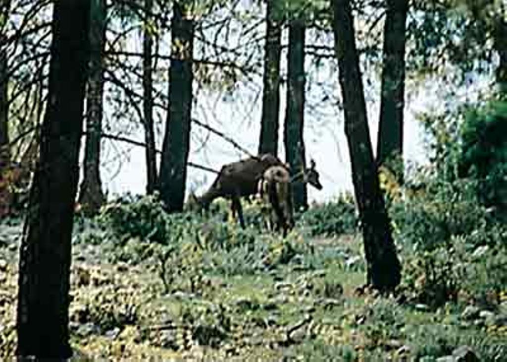 INFORMACIÓN: Gente Viajera, en agencias y www.genteviajera.com