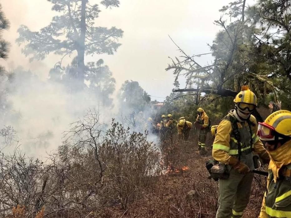 Conato de incendio en Tijarafe