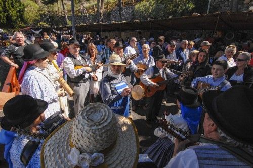 Fiesta del Almendro en Flor 2014