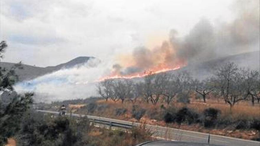 Provocan un incendio forestal junto a la carretera en Chóvar