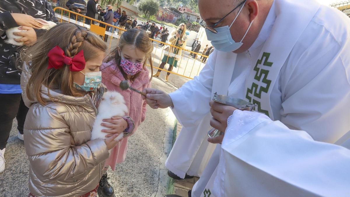 Vídeo de la celebración de San Antón en Orihuela