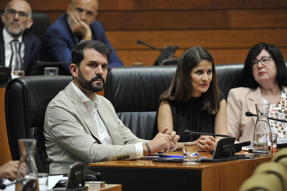 El presidente del Grupo Sccialista, Álvaro Sánchez Cotrina, y su portavoz, Isabel Gil Rosiña, en sus escaños.