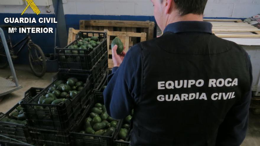 Detenido en Sagunt por comprar aguacates de origen ilícito