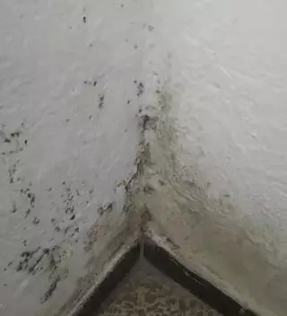 "¿En qué condiciones vamos a trabajar si no tenemos ni dónde descansar?": el calvario de una camarera de piso recién llegada a Ibiza