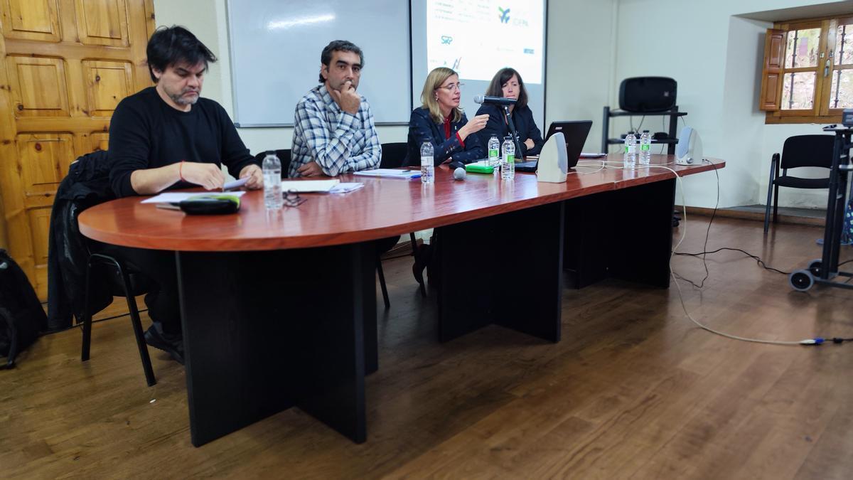 Por la izquierda, Gerardo Cortijo, Javier Vigil, Eva Pando y Alejandra Garrido (moderadora), en su mesa de debate.