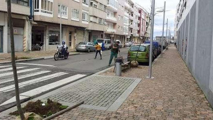 Los árboles fueron retirados ayer del centro urbano.  // G.N.