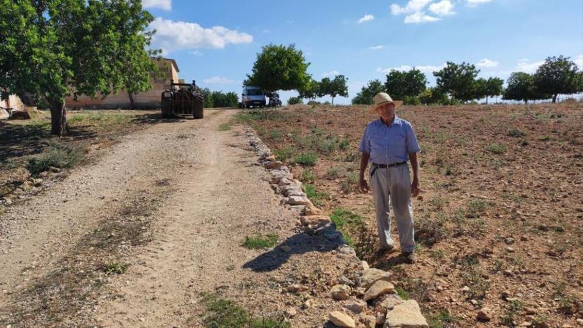 Pedro Melis, en su finca de Son Carrió.