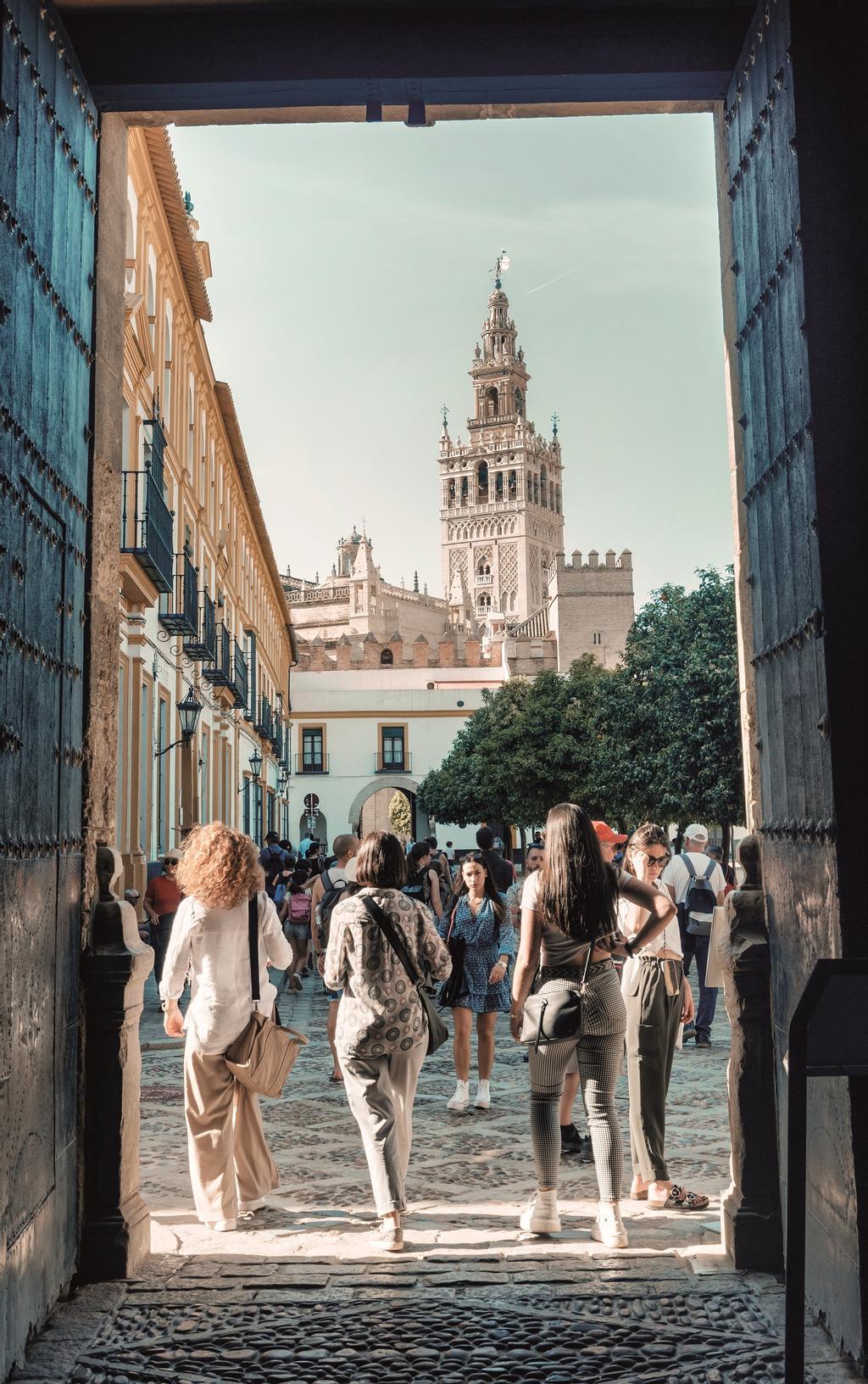 Vista de la Giralda desde el interior del Real Alcázar.