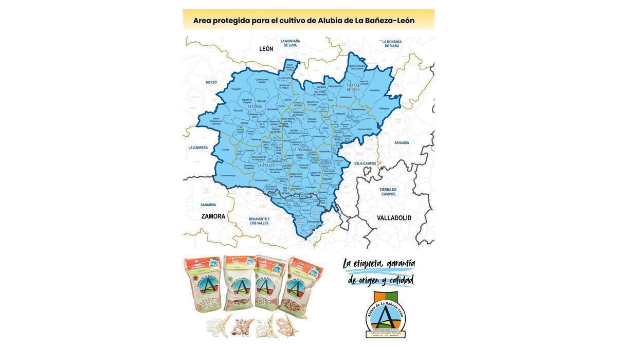 Área geográfica de la IGP Alubia La Bañeza León