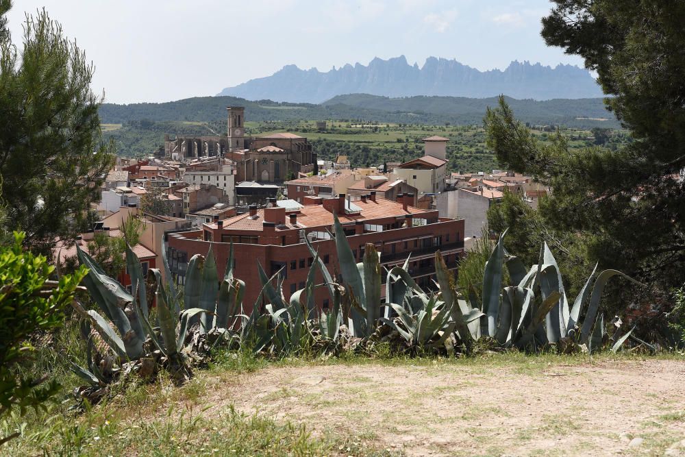 Festa del Parc del Castell