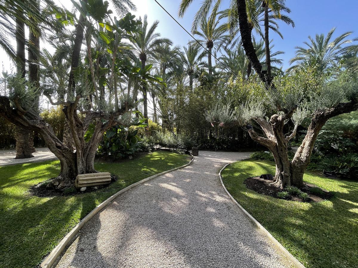 Uno de los rincones del Jardín del Huerto del Cura en Elche