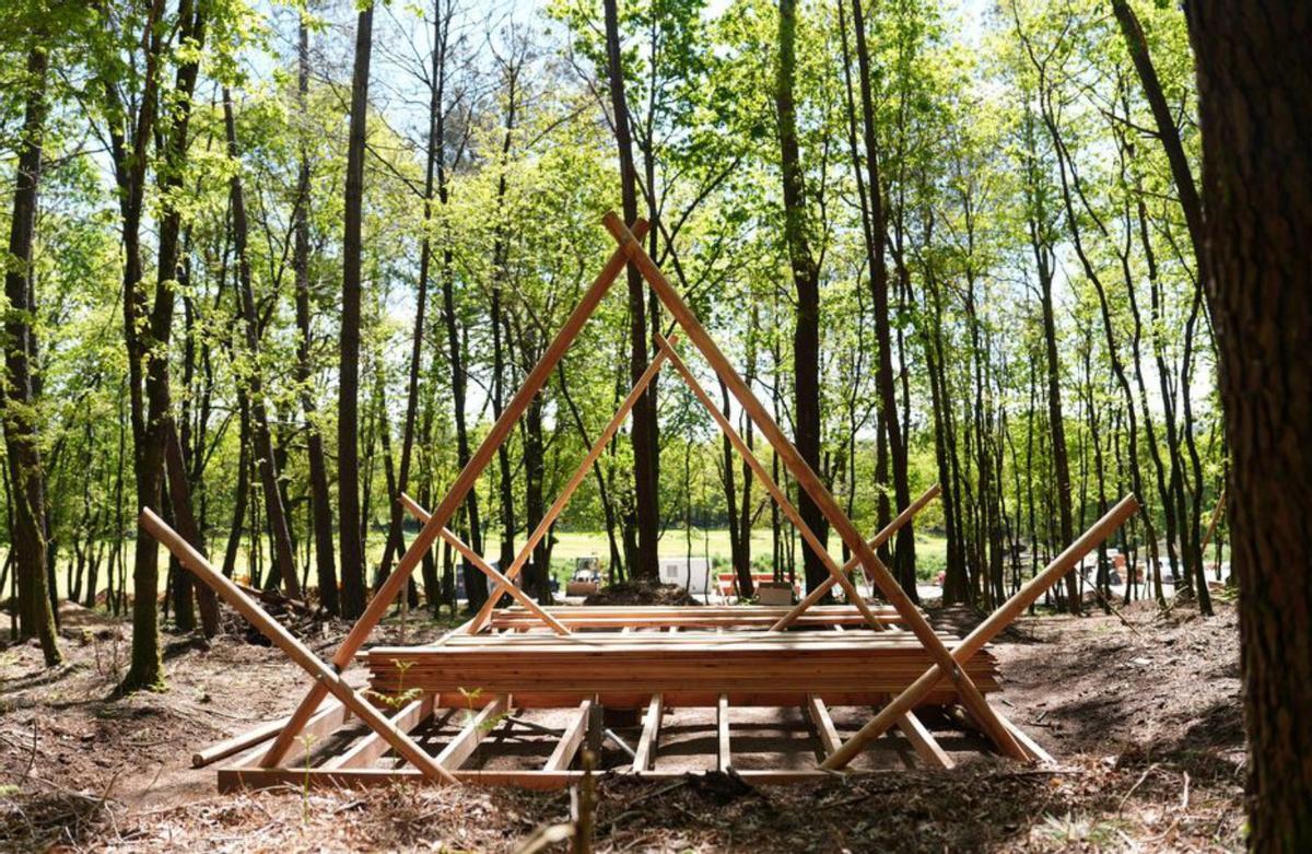 Montaje de una estructura de madera. |  Bernabé