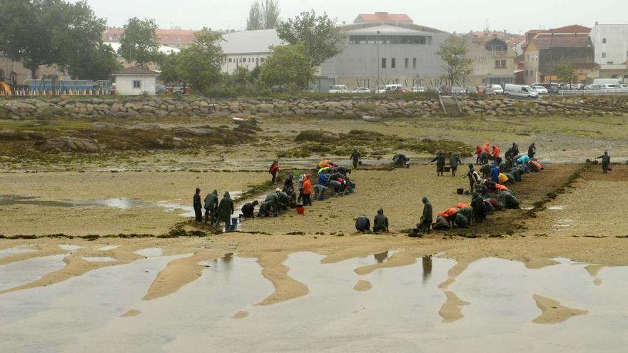 Cultivar el mar no entiende de festivos